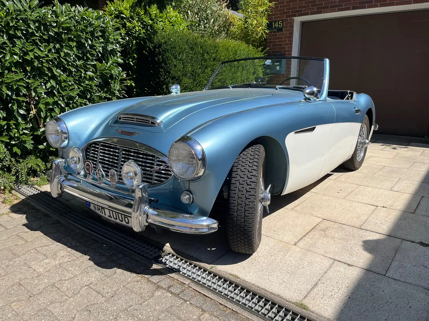 Austin-Healey 100 100 6 BN4 Blau - 1