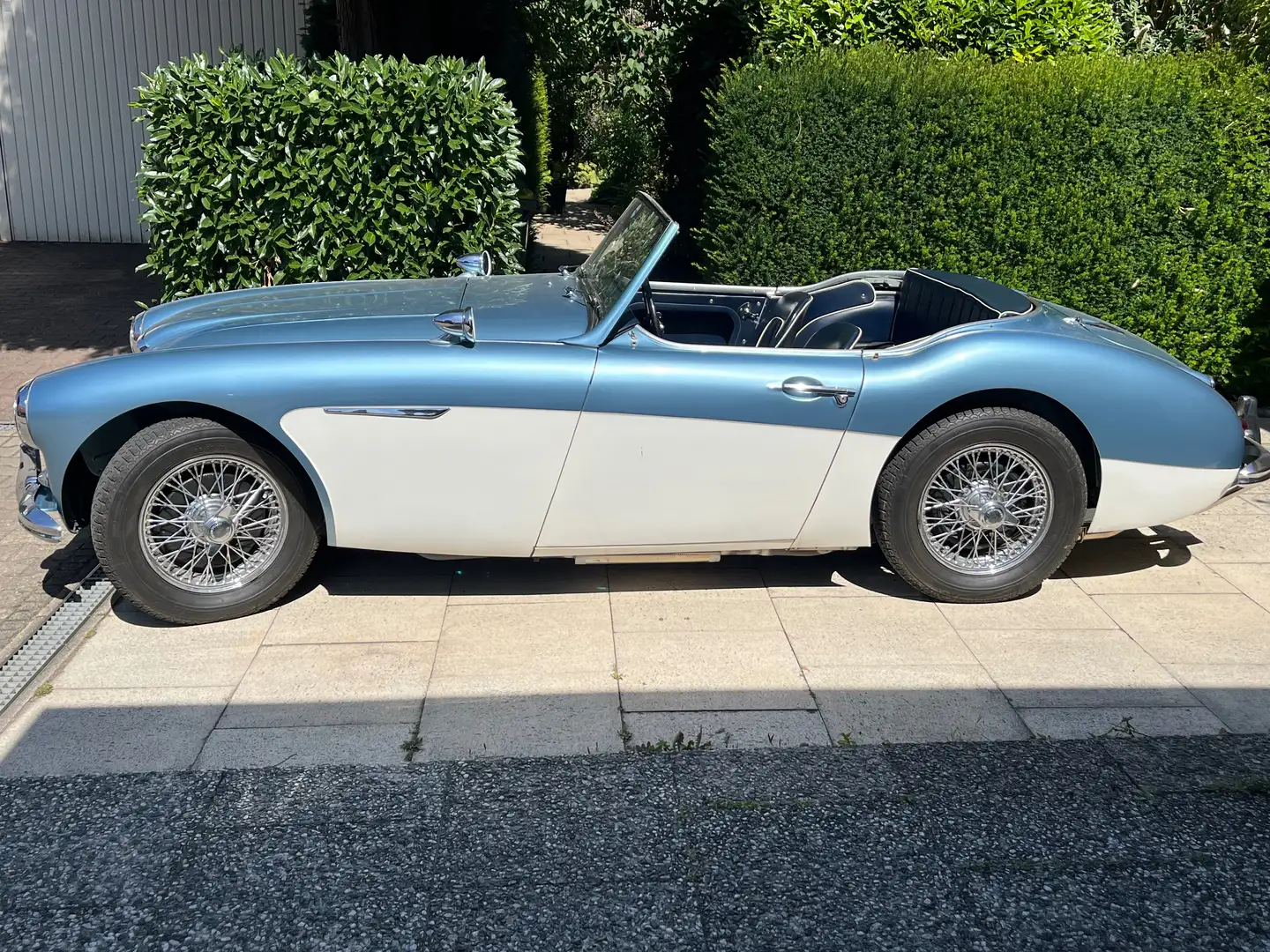 Austin-Healey 100 100 6 BN4 Blau - 2