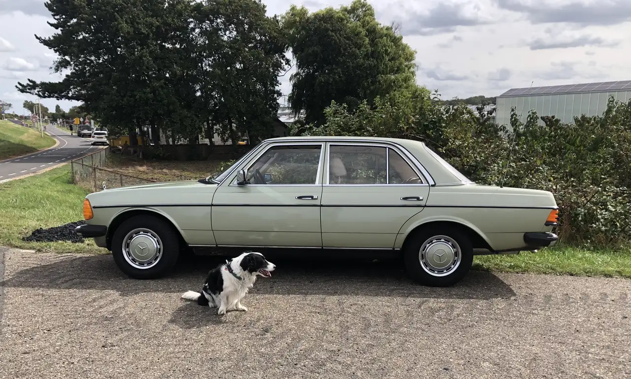 Mercedes-Benz 200 w123. 1987 cc, foto 1