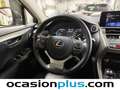 Lexus NX 300 300h Premium 2WD Negro - thumbnail 27