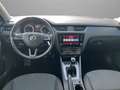 Skoda Octavia Combi. LED/AHK/ACC/CarPlay/Lenkradheiz. Gris - thumbnail 15
