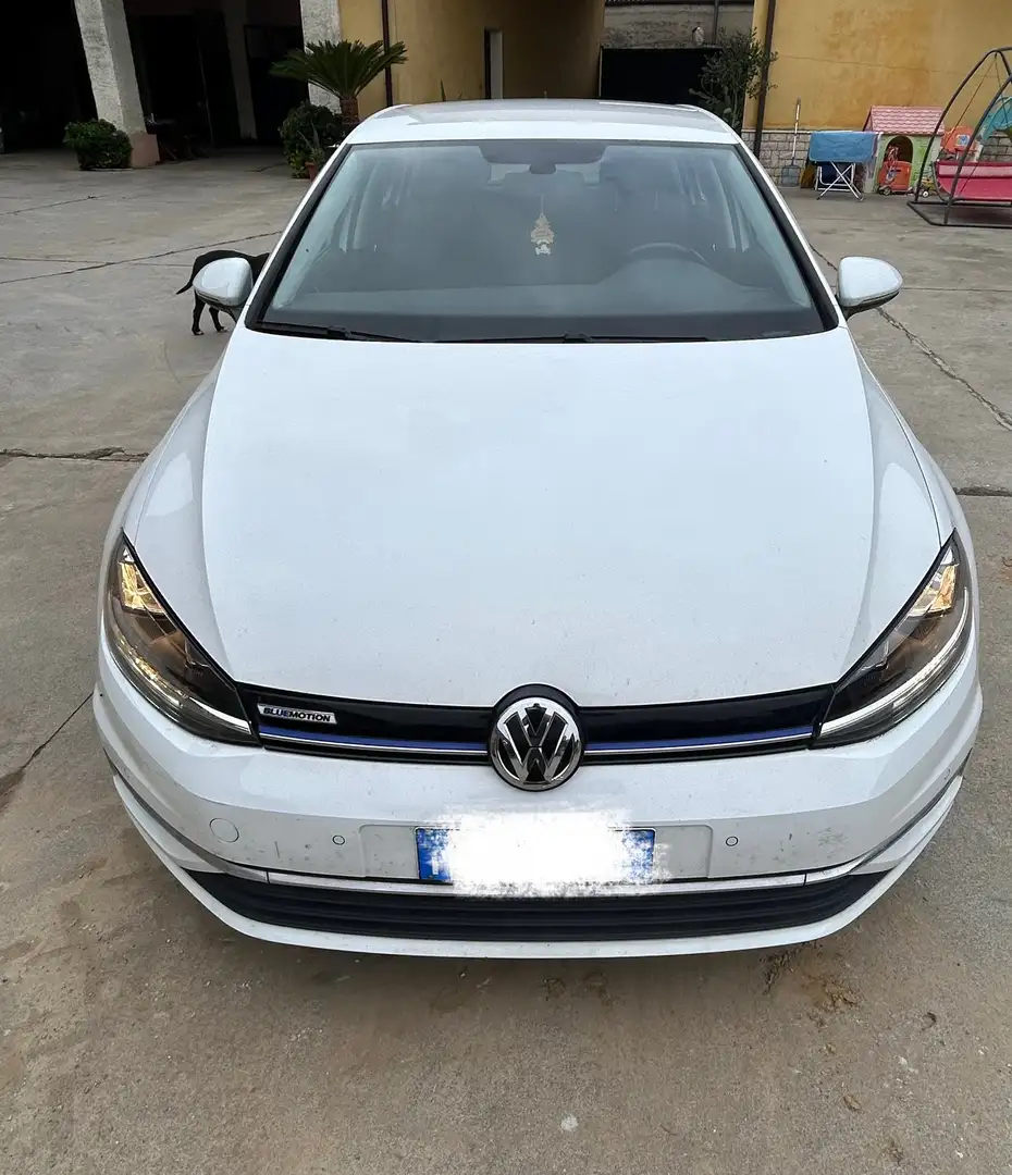 Volkswagen Golf Golf 7 - 2