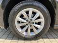 Volkswagen Polo Highline 1,0 l TSI 95 PS 7-Gang-DSG Noir - thumbnail 12