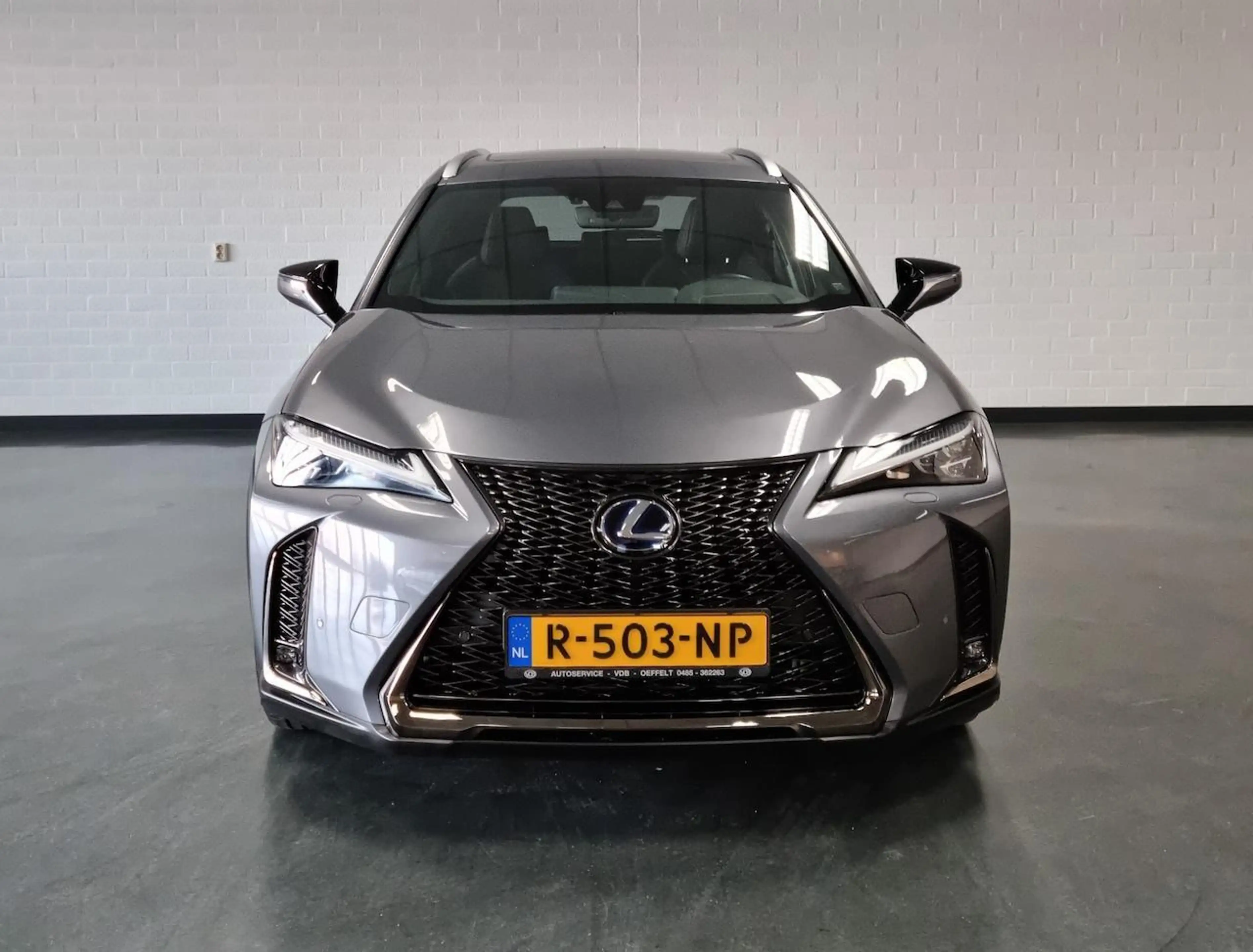 Lexus UX 250h F-Sport / PDC / Schuifdak / Trekhaak — photo 2