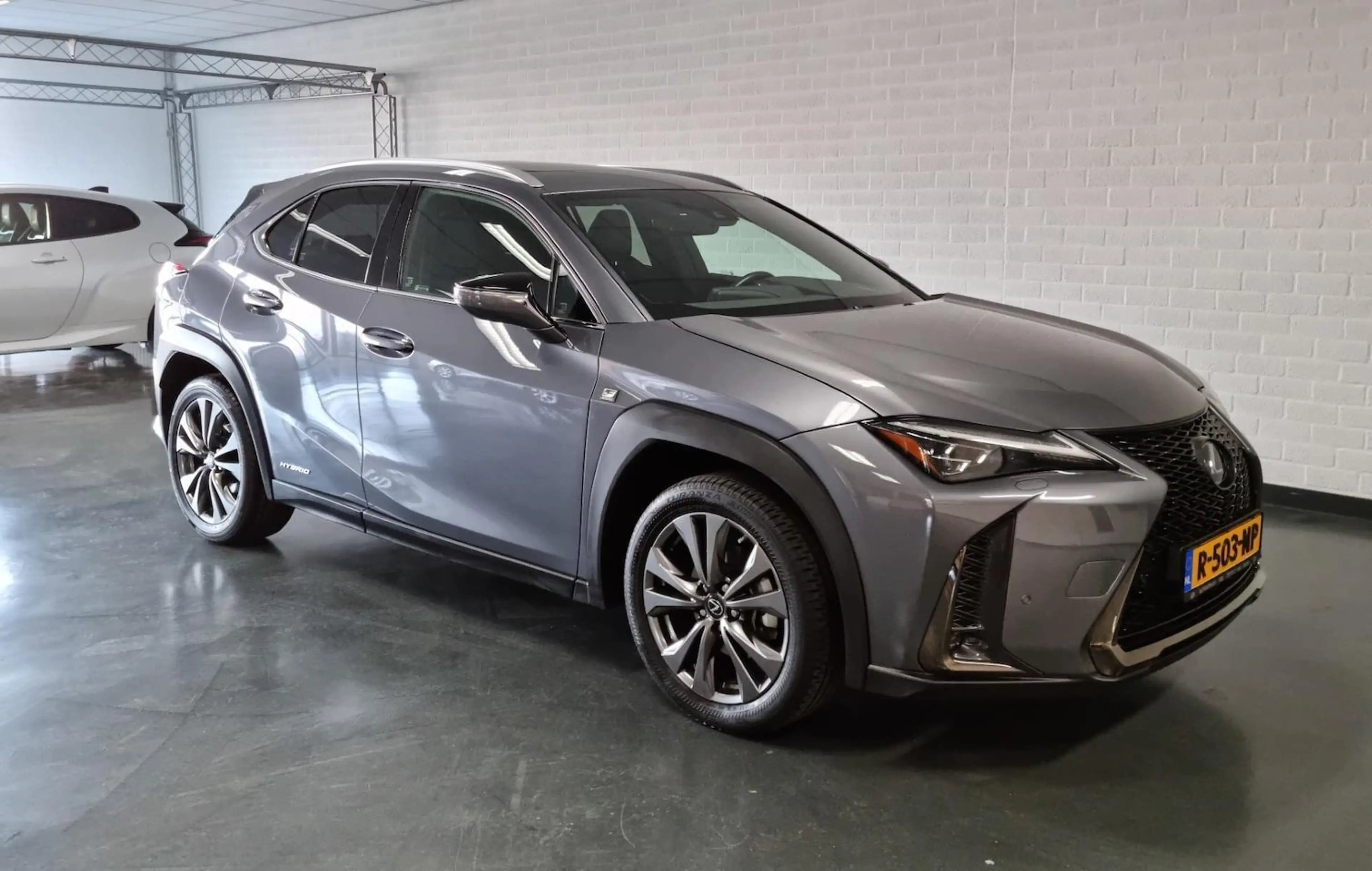 Lexus UX 250h F-Sport / PDC / Schuifdak / Trekhaak — photo 3