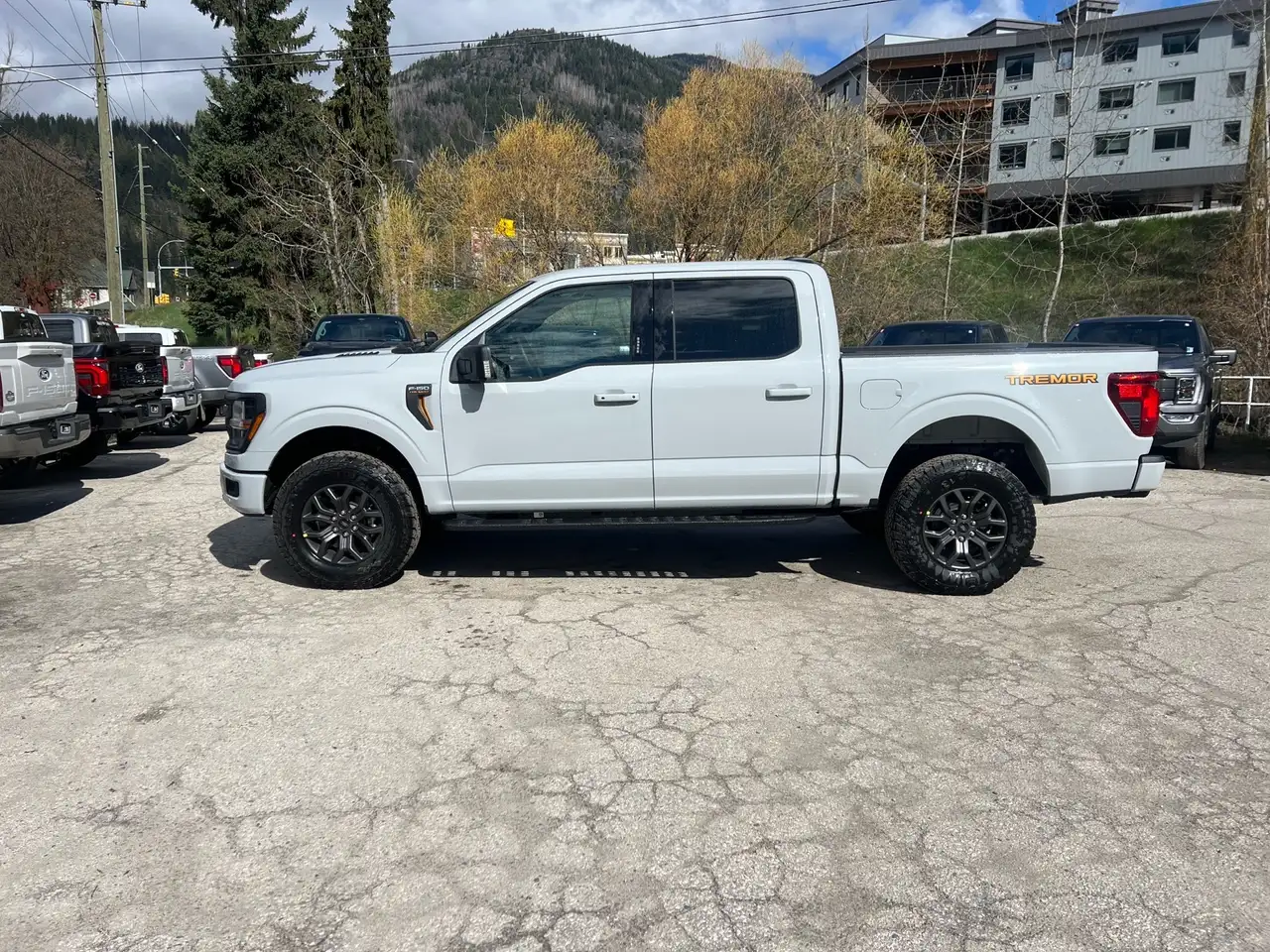 Ford F 150 fotografie Ford F 150