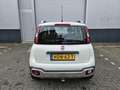 Fiat Panda 1.2 City Cross | Slechts 17.000 km | Trekhaak | Al Blanc - thumbnail 19