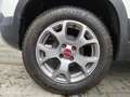 Fiat Panda 1.2 City Cross | Slechts 17.000 km | Trekhaak | Al Blanc - thumbnail 24