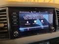 Skoda Karoq Karoq 2.0 TDI EVO SCR 115 CV DSG Executive Grau - thumbnail 19