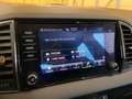 Skoda Karoq Karoq 2.0 TDI EVO SCR 115 CV DSG Executive Grau - thumbnail 20