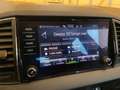 Skoda Karoq Karoq 2.0 TDI EVO SCR 115 CV DSG Executive Grau - thumbnail 17
