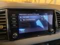 Skoda Karoq Karoq 2.0 TDI EVO SCR 115 CV DSG Executive Grau - thumbnail 21