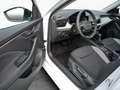 Skoda Kamiq Drive 1.5 TSI DSG AHK*18Z*pACC*LED*PDC Wit - thumbnail 14