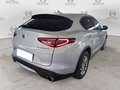 Alfa Romeo Stelvio Stelvio 2.2 Turbodiesel 190 CV AT8 RWD Business Argento - thumbnail 12