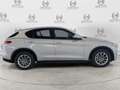 Alfa Romeo Stelvio Stelvio 2.2 Turbodiesel 190 CV AT8 RWD Business Argento - thumbnail 9