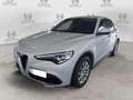 Alfa Romeo Stelvio Stelvio 2.2 Turbodiesel 190 CV AT8 RWD Business Argento - thumbnail 1