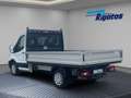 Ford Transit Pritsche 2.0 TDCi Mild-Hybrid 350 L2 Trend DAB Weiß - thumbnail 2