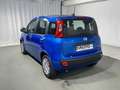 Fiat Panda 1.0 FireFly S&S Hybrid 5 Posti KM ZERO Blu/Azzurro - thumbnail 3