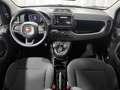 Fiat Panda 1.0 FireFly S&S Hybrid 5 Posti KM ZERO Blu/Azzurro - thumbnail 12