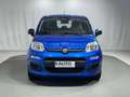 Fiat Panda 1.0 FireFly S&S Hybrid 5 Posti KM ZERO Blu/Azzurro - thumbnail 8