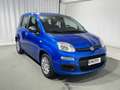 Fiat Panda 1.0 FireFly S&S Hybrid 5 Posti KM ZERO Blu/Azzurro - thumbnail 7