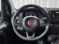 Fiat Panda 1.0 FireFly S&S Hybrid 5 Posti KM ZERO Blu/Azzurro - thumbnail 13