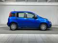 Fiat Panda 1.0 FireFly S&S Hybrid 5 Posti KM ZERO Blu/Azzurro - thumbnail 6