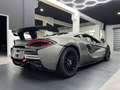 McLaren 570S GT4 - TROPHY ROAD LEGAL Grau - thumbnail 6
