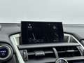Lexus NX 300h AWD F Sport Line | Mark Levinson | Leder | Elek. v Grigio - thumbnail 8