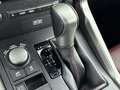 Lexus NX 300h AWD F Sport Line | Mark Levinson | Leder | Elek. v Grigio - thumbnail 11