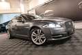 Jaguar XJ XJ 3.0D V6 / CAMERA / TOIT PANO / FULL OPTIONS Gris - thumbnail 2