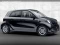 smart forFour EQ 60kWed passion SHZ Pano PDC+Kamera Schwarz - thumbnail 16