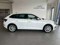 Skoda Scala 1,0 TSI Style DSG Weiß - thumbnail 6