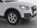 Audi Q2 30 TFSI Navi,PDC,Sitzhzg Weiß - thumbnail 9