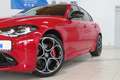 Alfa Romeo Giulia Competizione Q4 280PS *Schiebedach* Rot - thumbnail 5