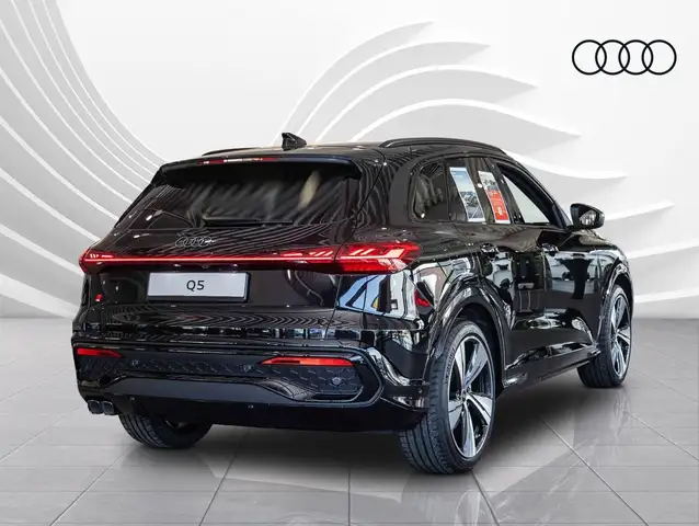 Audi Q5 view 14