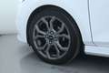 Ford Fiesta Fiesta 1.5 TDCi 120 CV 5 porte ST-Line Wit - thumbnail 27