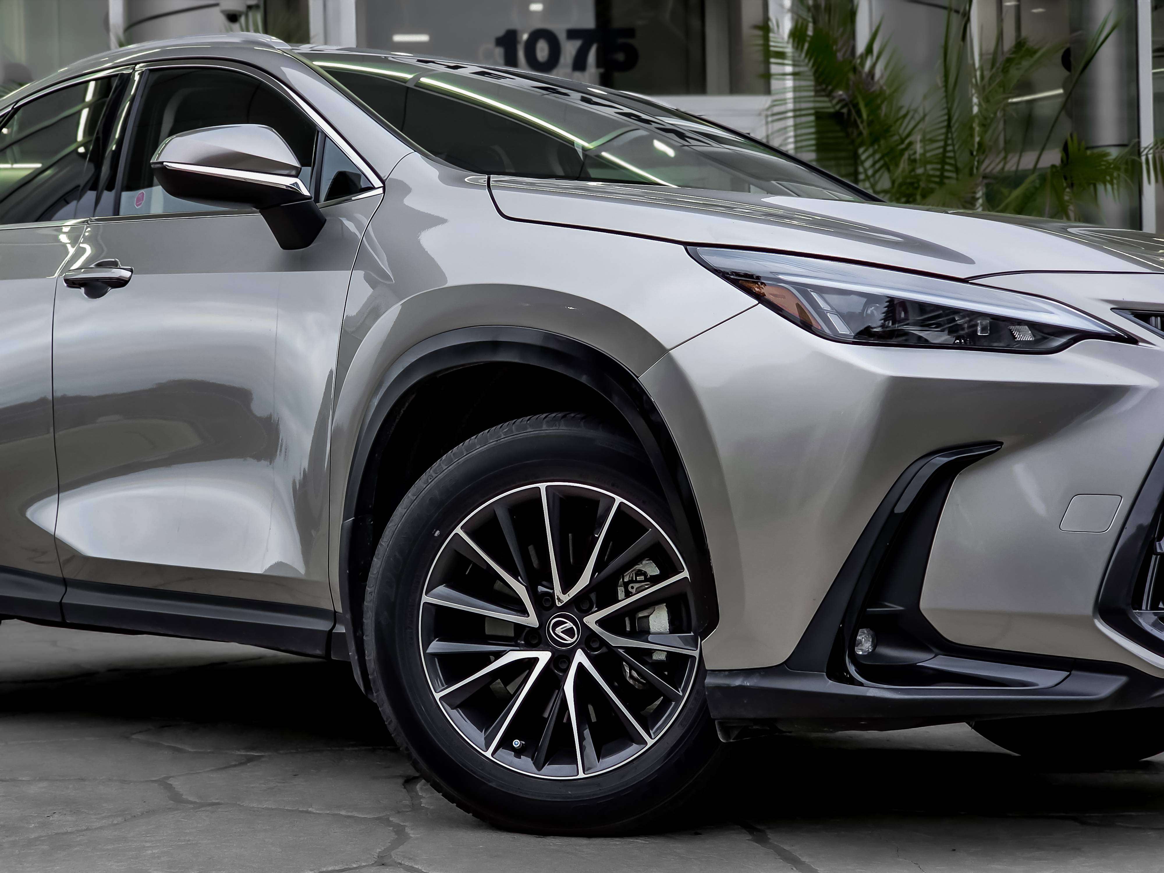 2024 Lexus NX