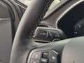 Ford Focus Turnier 2.0 EcoBlue Vignale Vollausstattun Grau - thumbnail 16