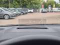 Ford Focus Turnier 2.0 EcoBlue Vignale Vollausstattun Grau - thumbnail 22
