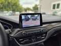 Ford Focus Turnier 2.0 EcoBlue Vignale Vollausstattun Grau - thumbnail 20
