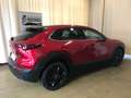 Mazda CX-30 2.5L e-SKYACTIV G 140 6AT FWD HOMURA Rot - thumbnail 6