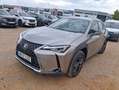 Lexus UX 250h 2.0 Business Blanco - thumbnail 1