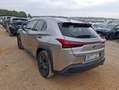 Lexus UX 250h 2.0 Business Blanco - thumbnail 6