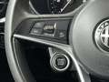 Alfa Romeo Stelvio 2.2 Turbodiesel 180 CV AT8 Q4 Business Black - thumbnail 19