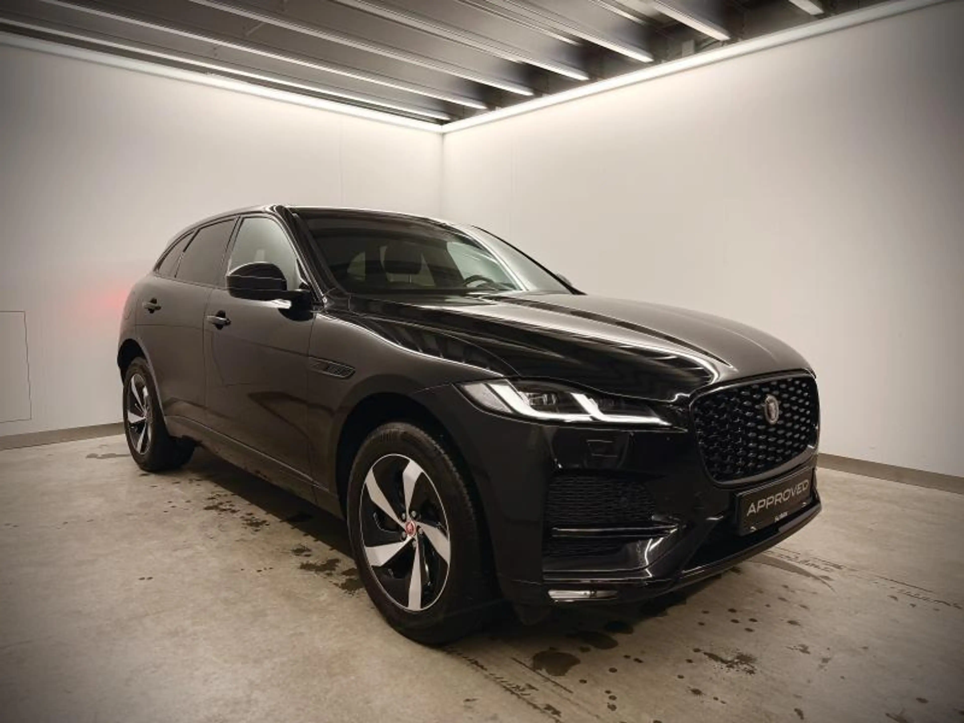 Jaguar F-Pace D165 S AWD Auto. 23MY — photo 3