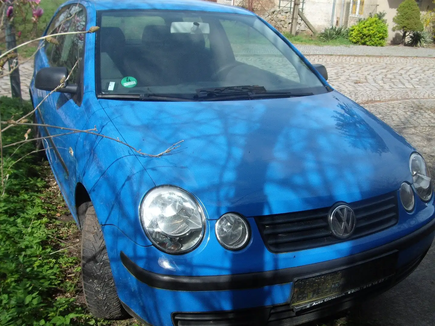 Volkswagen Polo Basis, ohne TÜV Blauw - 2