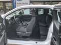 Ford Ranger Extrakabine 170Ps 4x4 Schaltgetriebe XL Blanc - thumbnail 6
