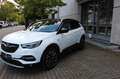 Opel Grandland X ~NAI~LEDER~KAMERA~1 HAND Blanc - thumbnail 1