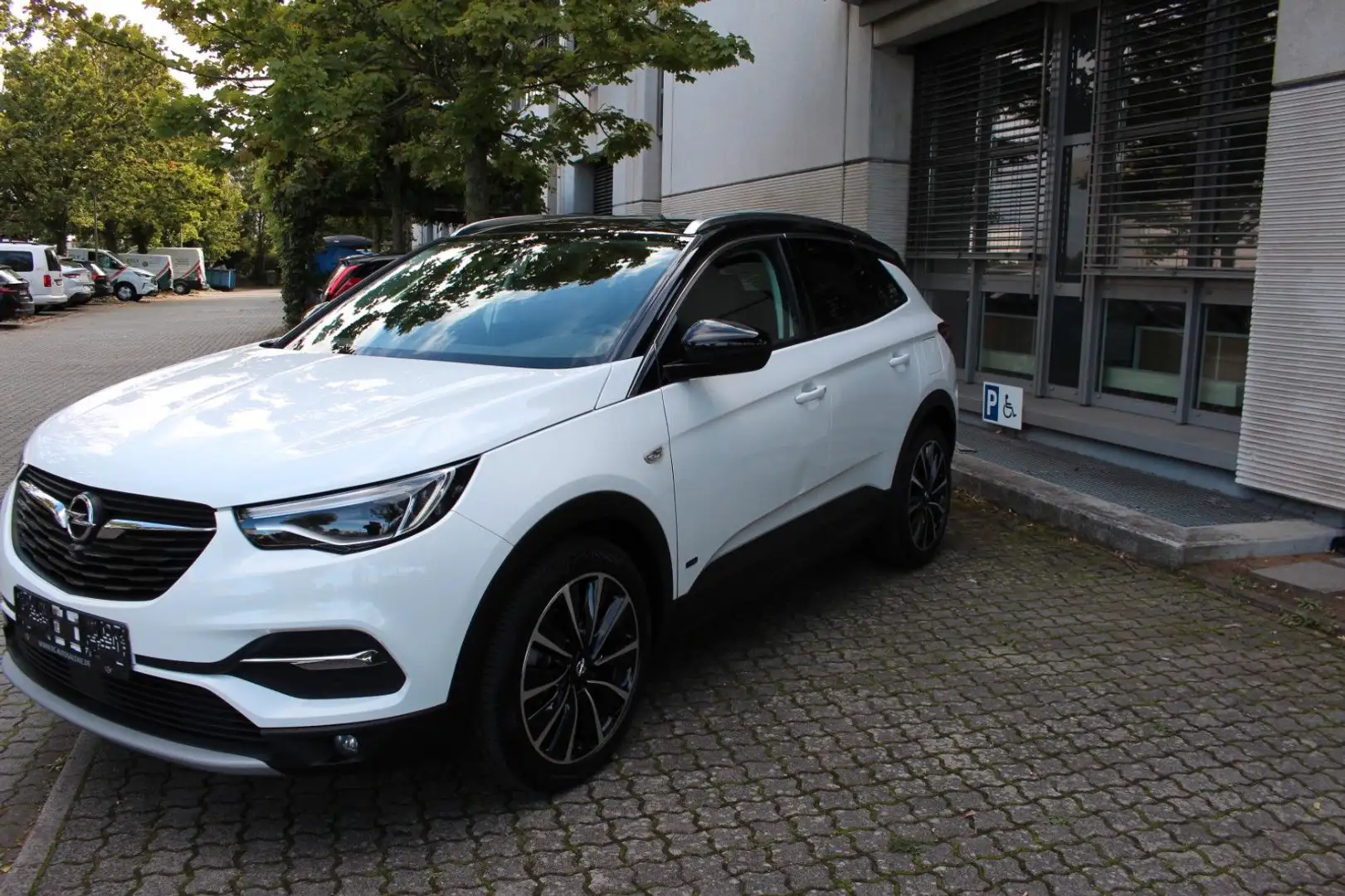 Opel Grandland X ~NAI~LEDER~KAMERA~1 HAND Blanc - 1